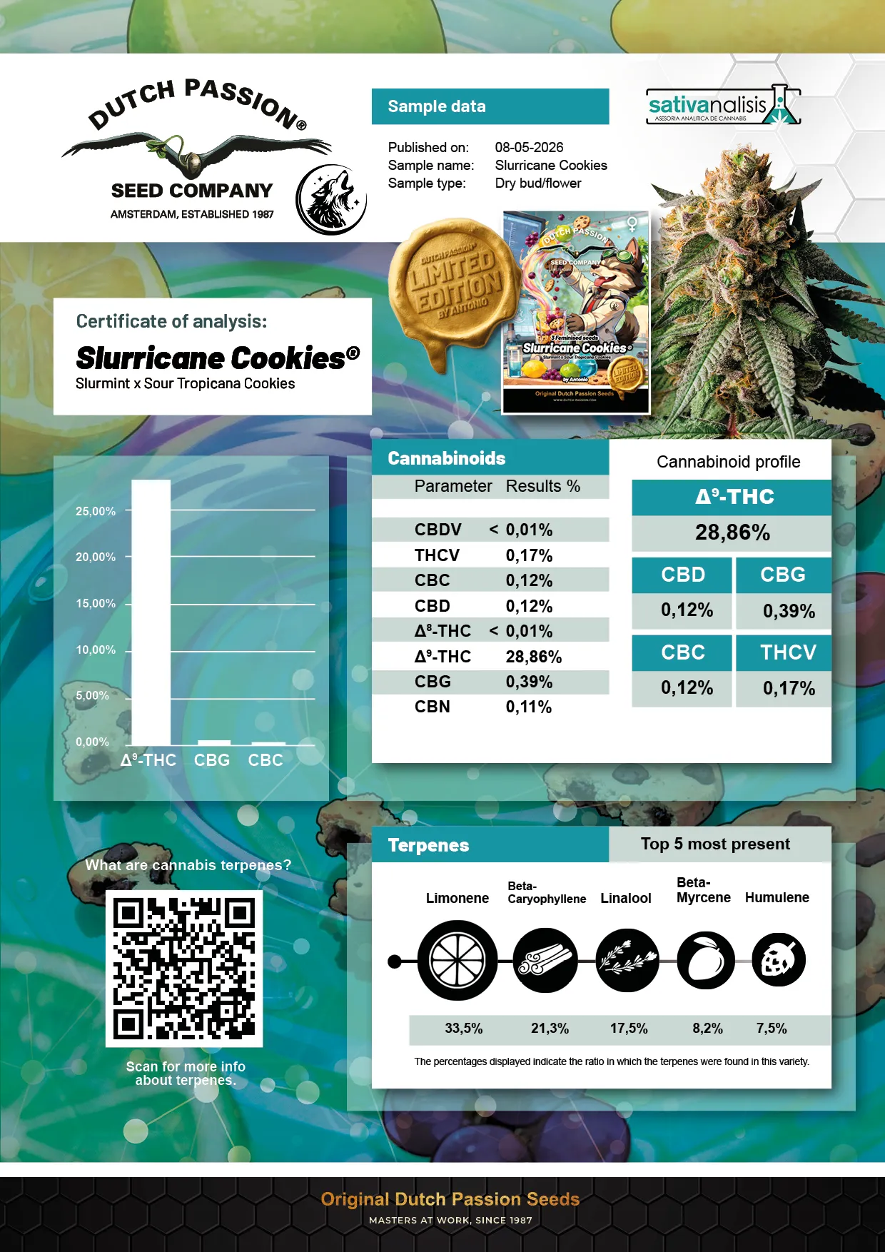 Slurricane Cookies